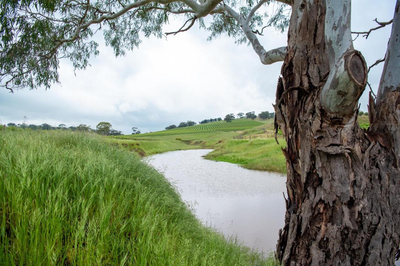 Triple Creek Guest House - Barossa Region Seppeltsfield Luaran gambar