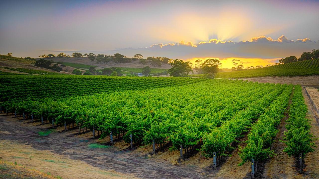 Triple Creek Guest House - Barossa Region Seppeltsfield Luaran gambar